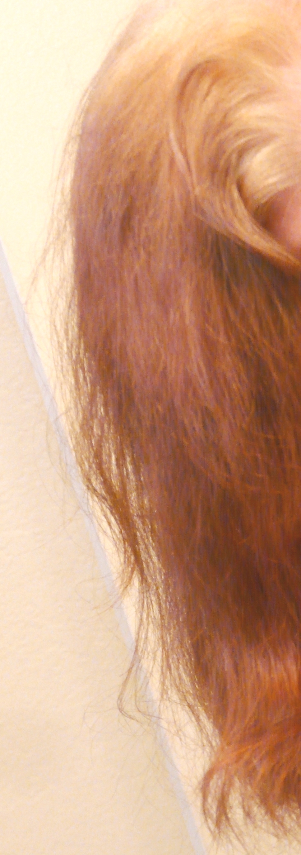 Orange Hair Misadventures In Going Natural From Dark Brown Part
